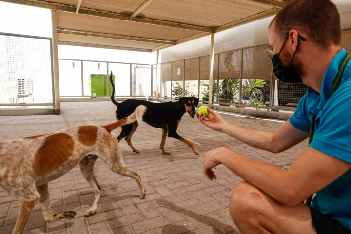 After 35 years of committed service in Dubai, K9 Friends has launched a new membership program.